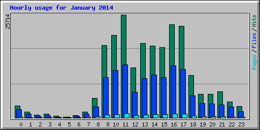 Hourly usage for January 2014